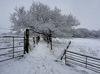 Snow covered field against sky during winter