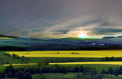 Scenic view of field against sky