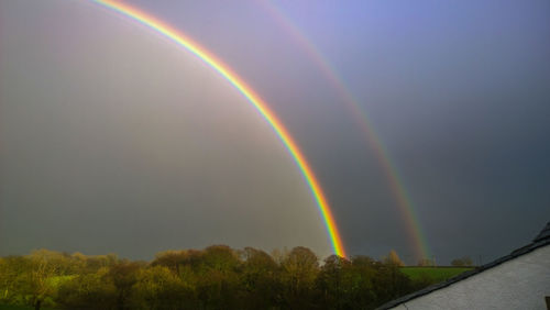 Rainbow over trees against sky