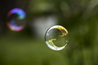 Close-up of bubbles in mid-air