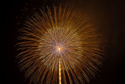 Low angle view of firework display at night