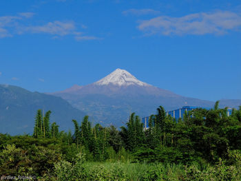 Scenic view of snowcapped mountains against blue sky