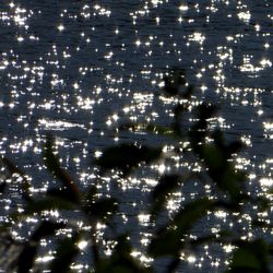 High angle view of illuminated sea at night