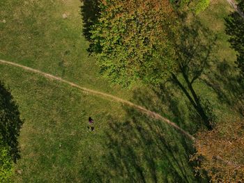 High angle view of man riding bicycle on land