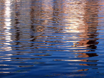 Full frame shot of swimming in lake