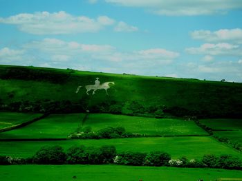 Scenic view of grassy field against sky