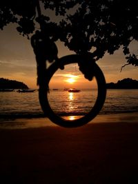 Silhouette tree on beach against sky during sunset