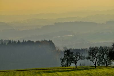 Scenic view of field against sky during foggy weather