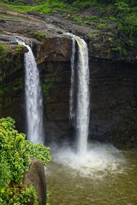 Scenic view of waterfall in forest