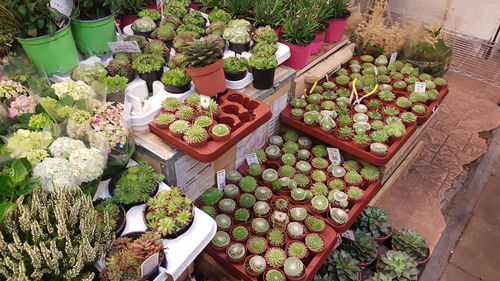 High angle view of vegetables in market