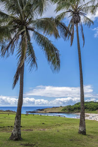 Scenic view of palm trees on landscape against sky