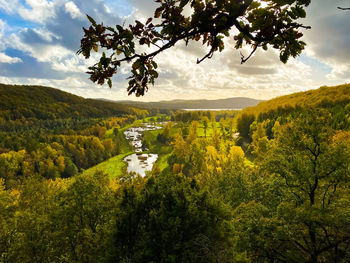 Scenic view from above, looking down on the river floating down below 