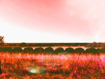 Scenic view of arch bridge against sky during sunset