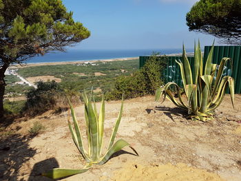 Scenic view of sea against sky