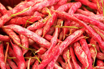 Close up of borlotti beans and pods, grown in italy.