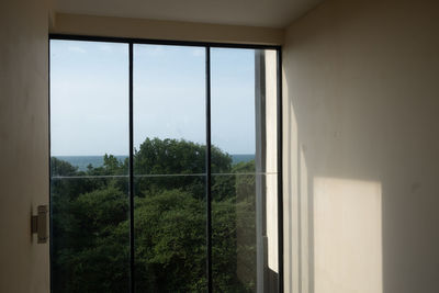 Trees and building seen through glass window