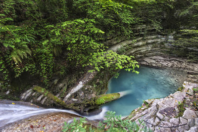 Scenic view of waterfall in forest