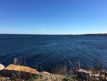 Scenic view of sea against clear blue sky