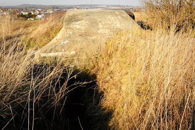 High angle view of land