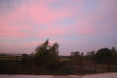 Trees on field against sky at sunset