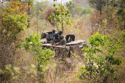 Army soldiers in tank amidst trees at forest