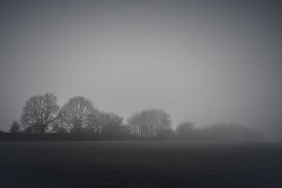 Trees on field against sky during winter