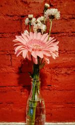 Close-up of pink flower vase against wall