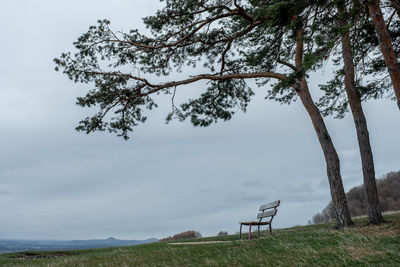 Empty bench on field by trees against sky