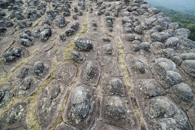 Full frame shot of rock formations