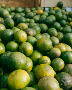 Full frame shot of fruits for sale in market