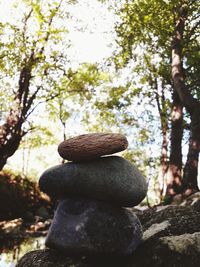 Stack of stones on tree trunk