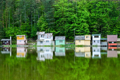 Reflection of trees in lake