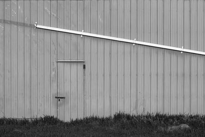 Plants growing on field against wall