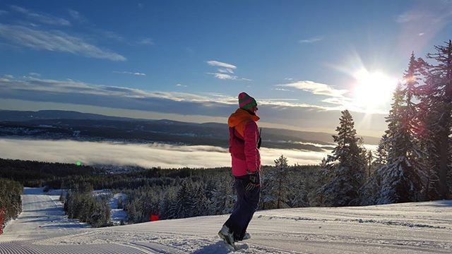 full length, snow, winter, lifestyles, cold temperature, leisure activity, rear view, sky, sunlight, season, casual clothing, standing, warm clothing, walking, sun, tranquil scene, nature, tranquility