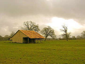 Houses on grassy field against cloudy sky