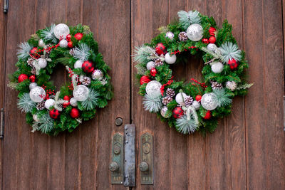 High angle view of flowering plants on wooden door