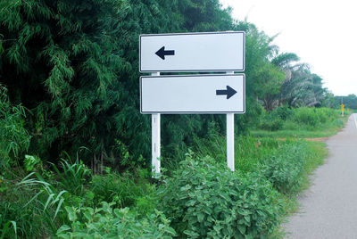 Information sign on tree