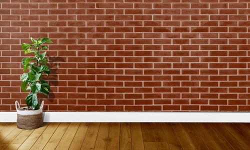 Potted plants on brick wall