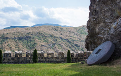 Scenic view of grassy field against sky
