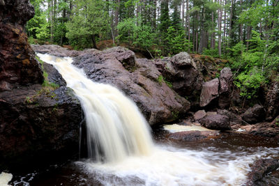 Scenic view of waterfall in forest