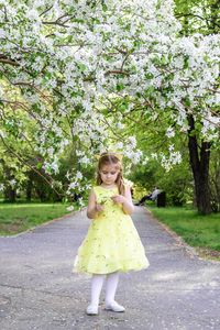 Portrait of young woman standing against trees