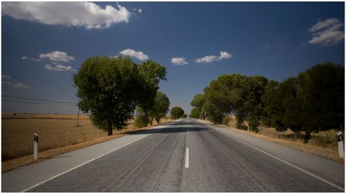 Empty road along trees