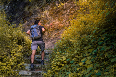 Full length rear view of man walking on plants