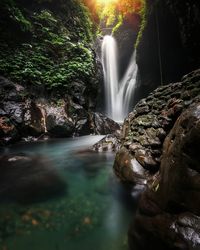 View of waterfall in forest