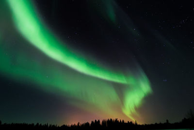 Low angle view of aurora polaris at night