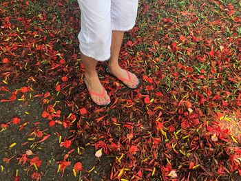 Low section of man standing by autumn leaves