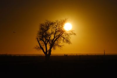Silhouette tree on landscape against sunset sky