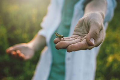 Close-up of hand holding plant