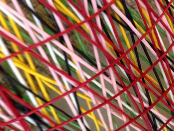 Close-up of colorful leaves