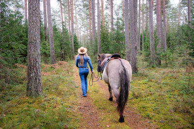 Rear view of woman walking in forest
